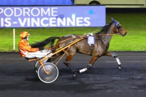 Free prediction Quinté+ Prix Neptuna, Friday, in Vincennes.  ISTER MAN has it all