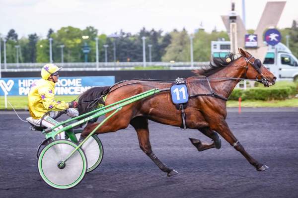 PMU Quinté+ Prix Huberta result, Friday evening in Vincennes.  GIMS DU PLESSIS, after a good finish to the race