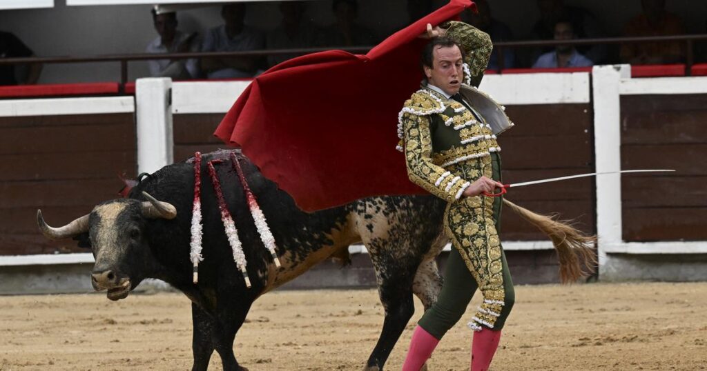 Bullfighter Roman Collado was seriously injured during the fight
