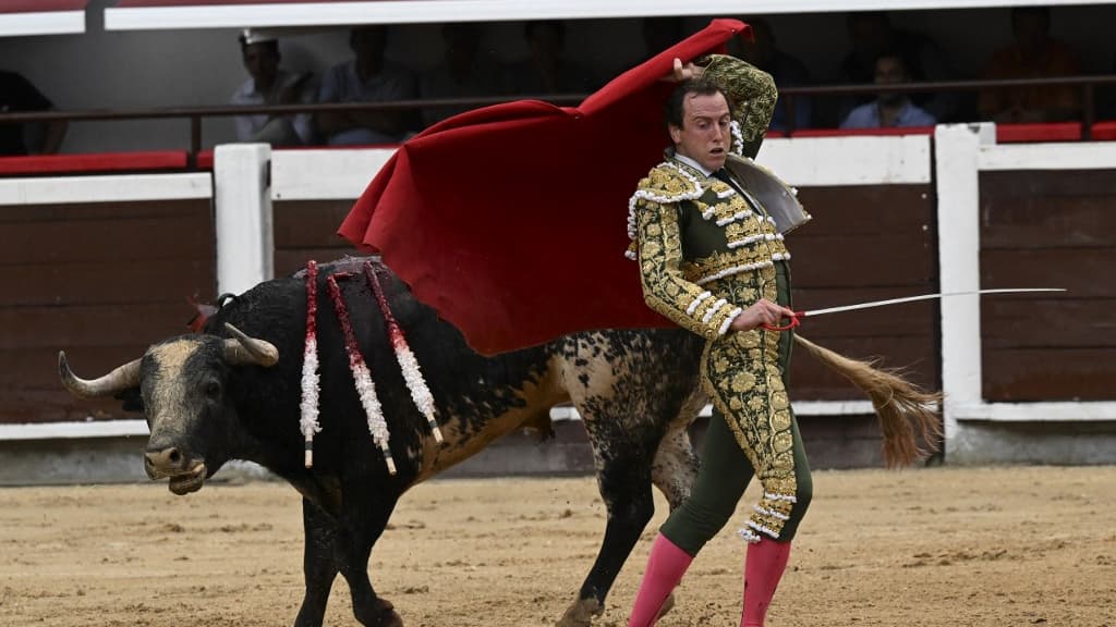 A French-Spanish bullfighter was seriously injured by a bull in his thigh
