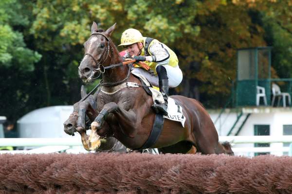 Free prediction for PMU, Prix Mirror (listed race), Wednesday, at Auteuil (R-4).  ZEPHYR has… the wind in its sails