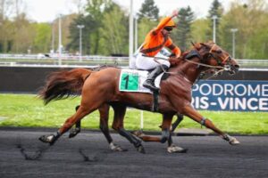 Reaching the PMU Prize for the Roger Ledoyen Prize (Group 3), on Saturday in Vincennes.  LOVE DU CHOQUEL makes a great impression
