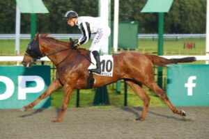 The Prix des Grandes Ecuries quinté arrives, Thursday, in Chantilly (PSF).  Headwinds had the wind in their sails