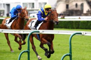 He finished the PMU Prix d’Hédouville (Gr. III), on Sunday in ParisLongchamp.  Goliath, clearly from start to finish