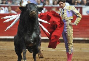 Spain canceled an annual bullfighting competition on Friday