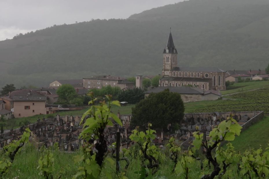 Hundreds of people are expected to arrive in this small village of Quincié-en-Beaujolais from 2:30 p.m.